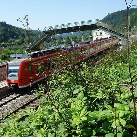 Ferienwohnung Ecologica Nahe Heidelberg Neckarhausen (Neckarsteinach)